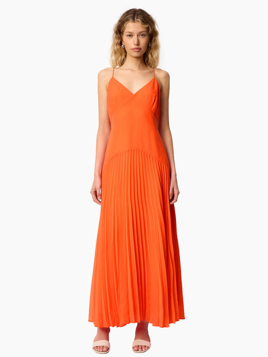 Jennelyn Chiffon Pleated Gown