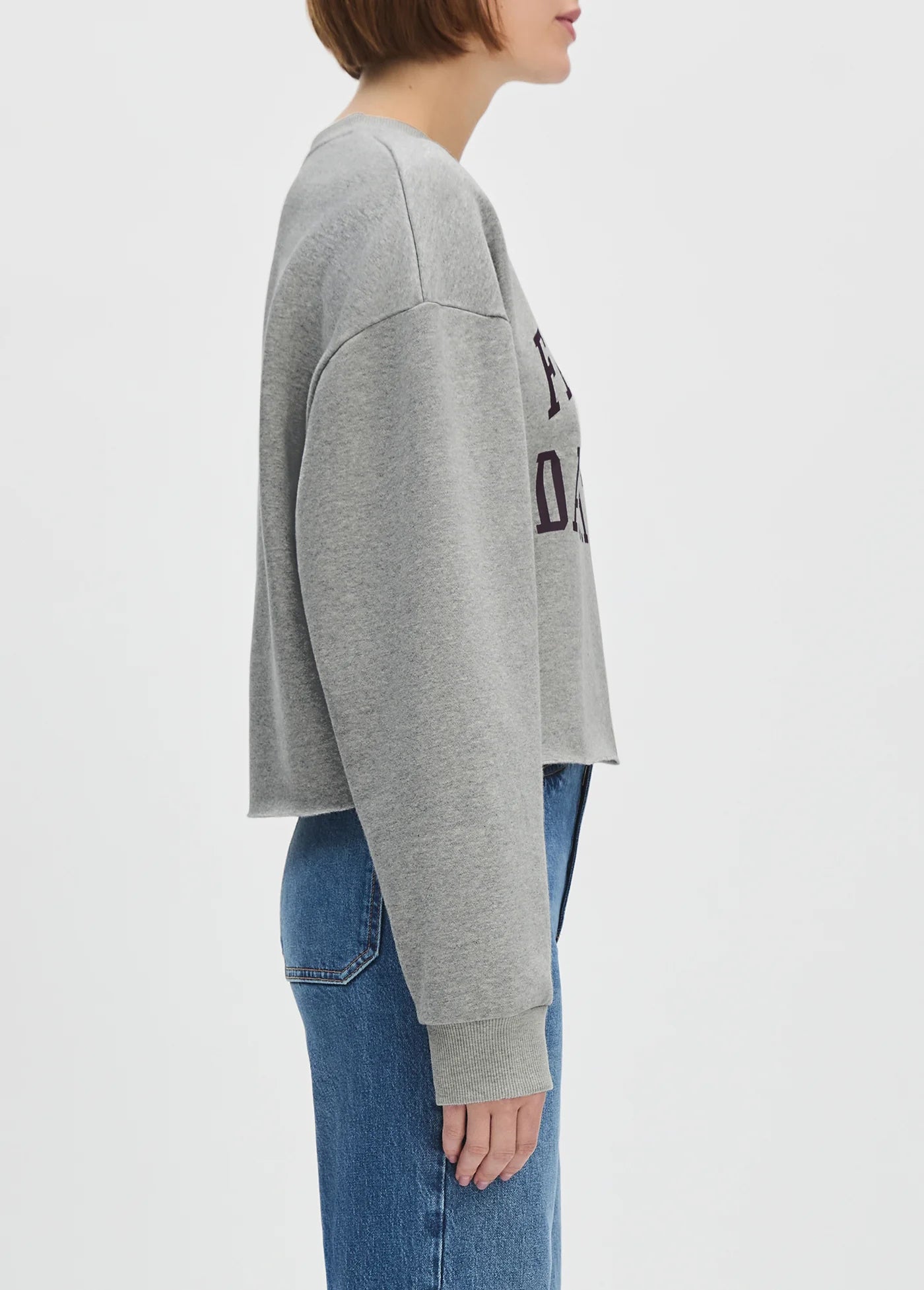 Crop Collegiate Sweatshirt