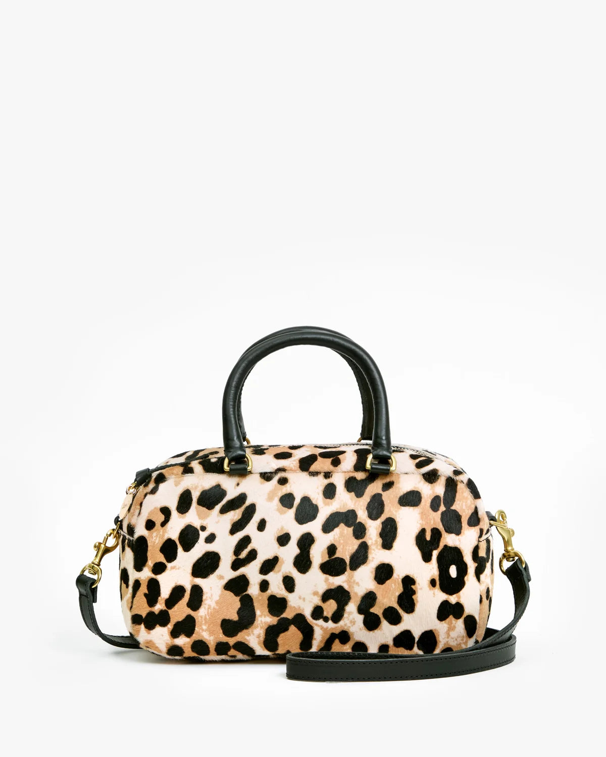 Petite Claudine - Snow Leopard