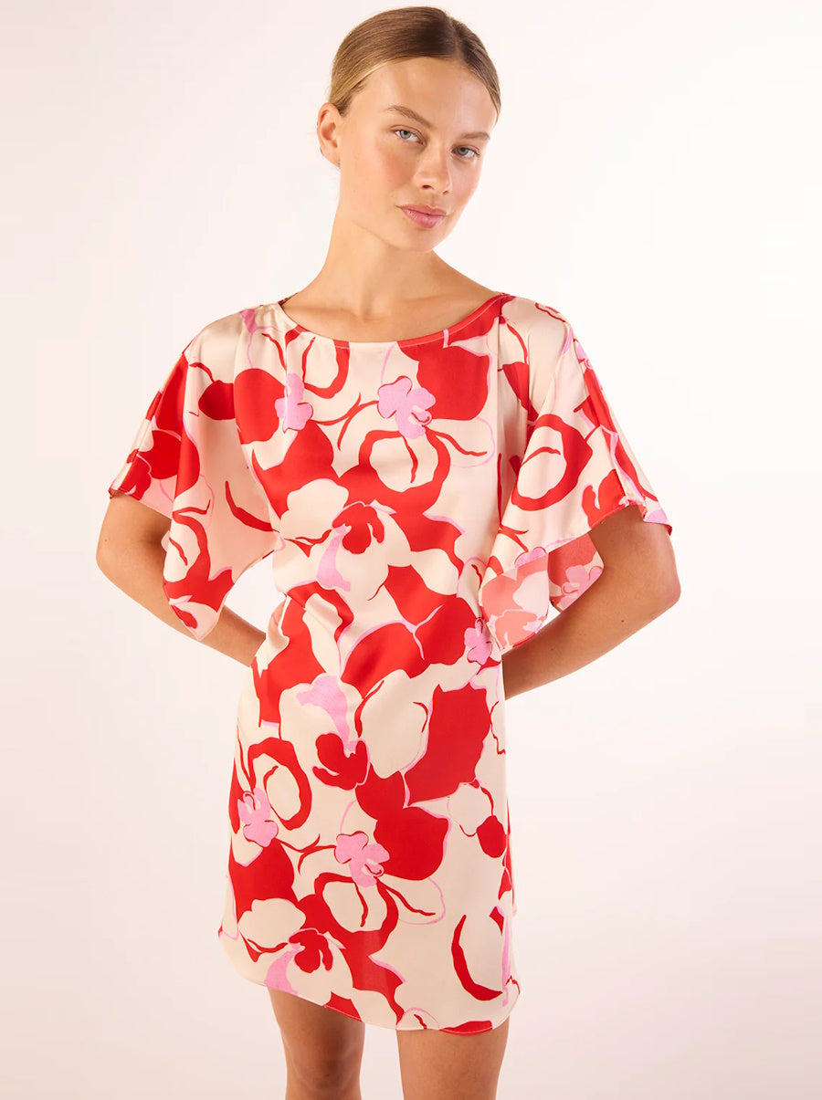 Aleka Dress