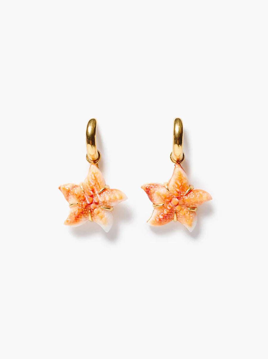 Starfish Hoop Earrings