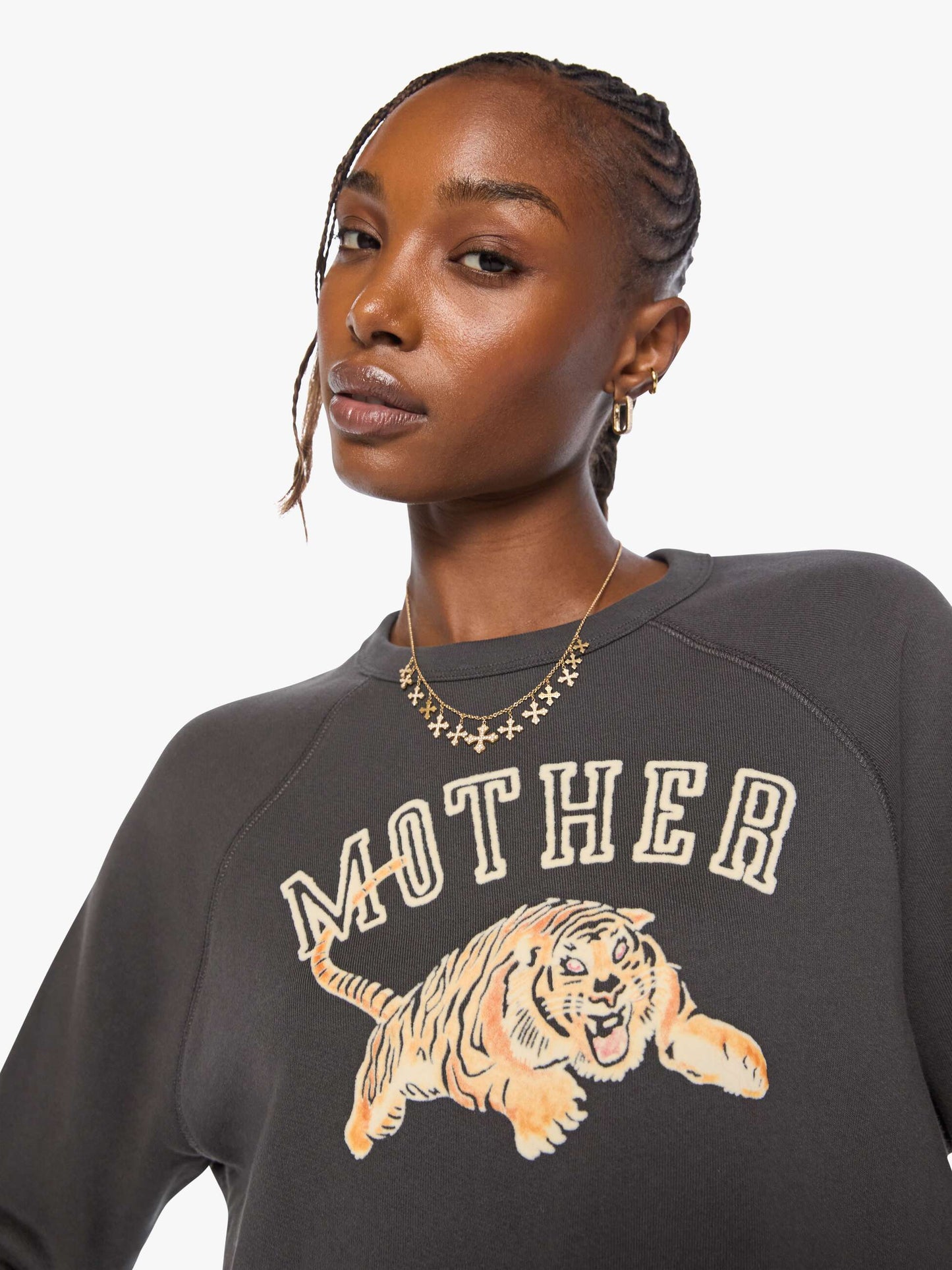 The Concert Mother Tiger