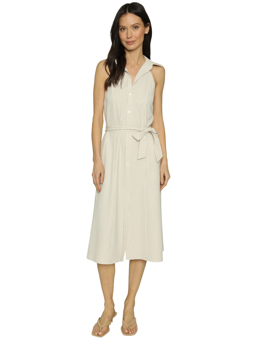 Raelynn Dress in Khaki Stripe