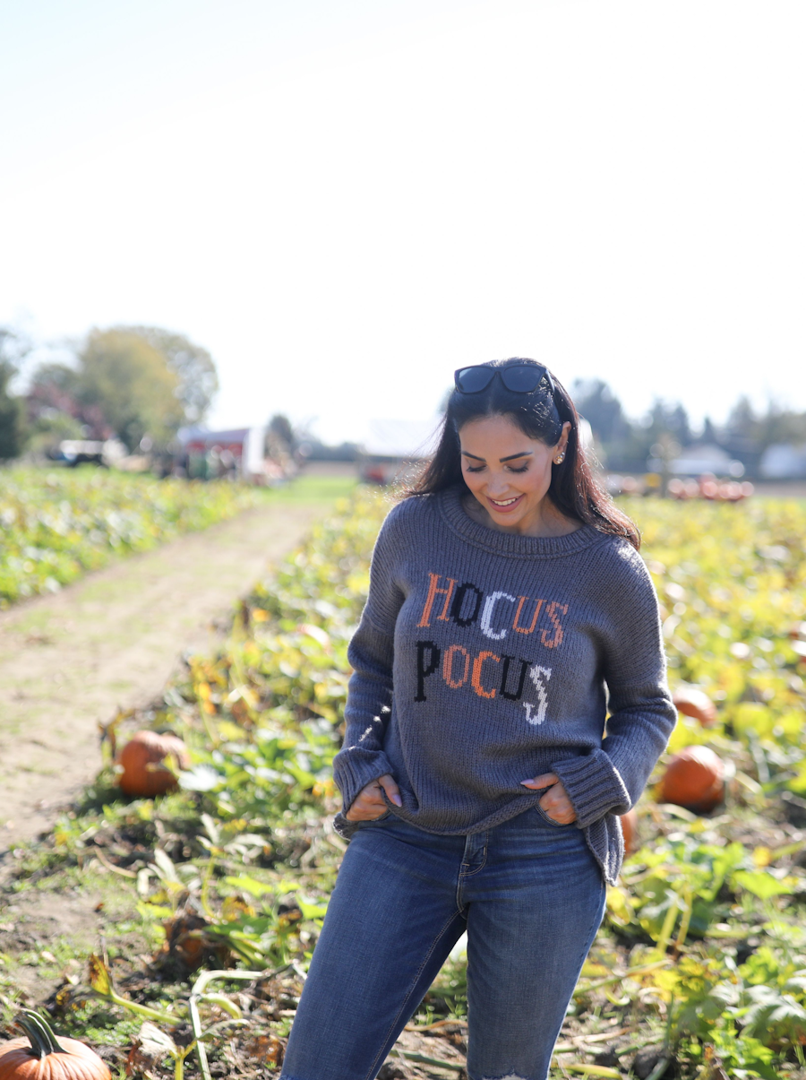 Hocus Pocus Sweater